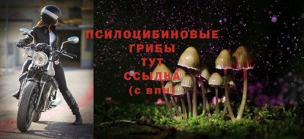 СК Абинск
