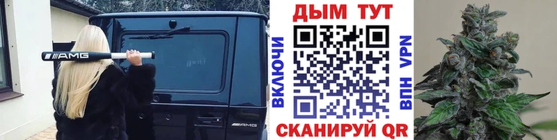 Марихуана план  как найти закладки  Ивангород 